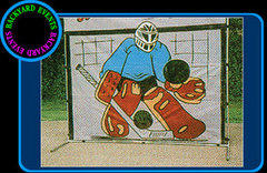 Slapshot Hockey $ www.mechanicalbullwebdesign.com